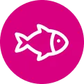 ANGIN魚アイコン